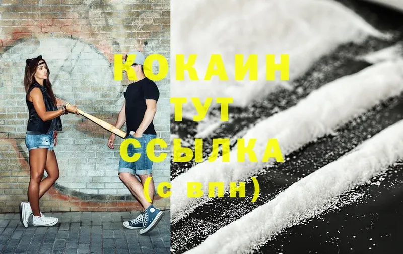 купить наркотики цена  Ардатов  Кокаин FishScale 